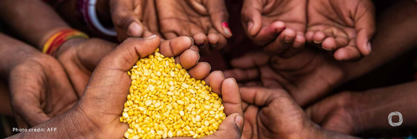 UK summit to boost food security through science and innovation UK summit to boost food security through science and innovation