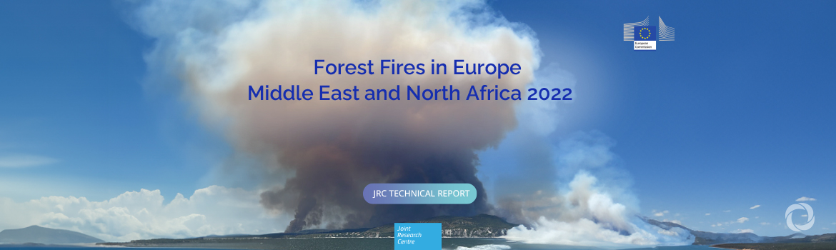 2022 was the second-worst year for wildfires, a warning from a changing climate