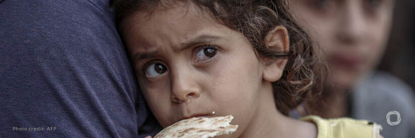 Gaza faces widespread hunger as food systems collapse, warns WFP