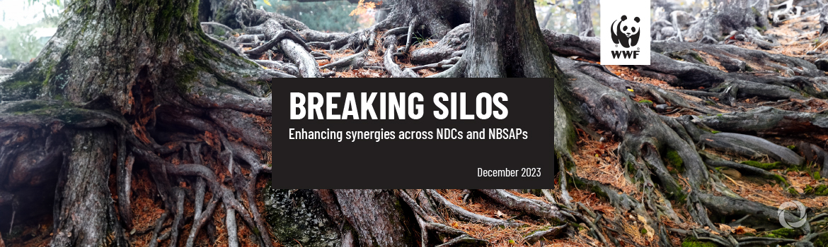 WWF report identifies opportunities for governments to integrate action on climate and nature