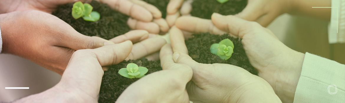 Op-Ed: COP28 | The Social Solidarity Economy: untapped potential in the face of the climate crisis