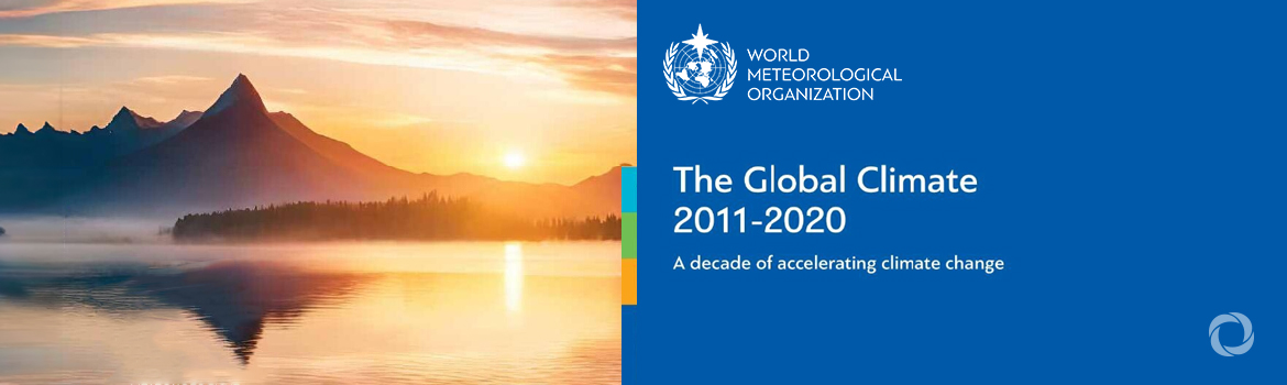The Global Climate 2011-2020: A decade of acceleration