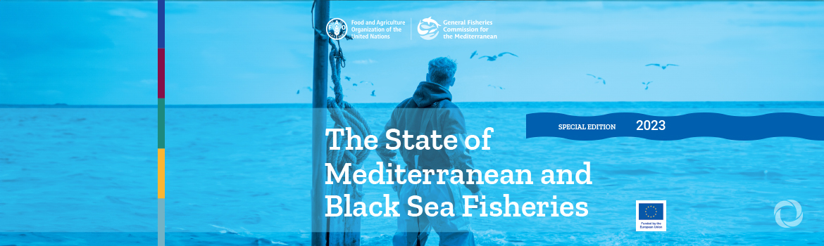 Overfishing in the Mediterranean and Black Sea falls to lowest level in a decade