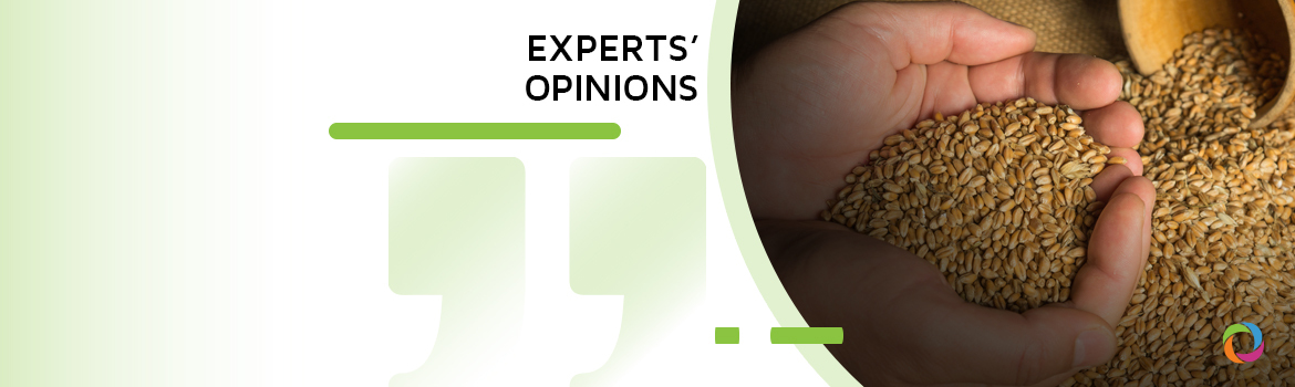 Why is global hunger still on the rise and what can we do about it? | Experts’ Opinions