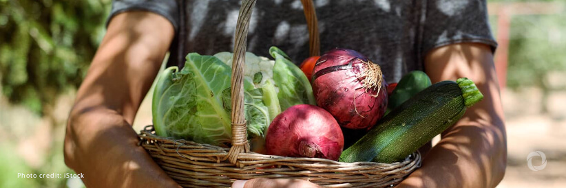 New research urges data-driven action for agriculture and food systems change New research urges data-driven action for agriculture and food systems change