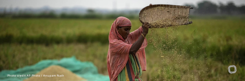 Nourishing innovations: Rethinking food security for a hungry planet | Associate Writer