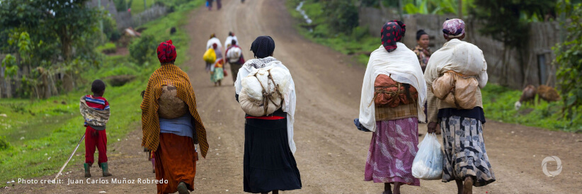 IOM resumes voluntary return flights for stranded Ethiopian migrants in Yemen