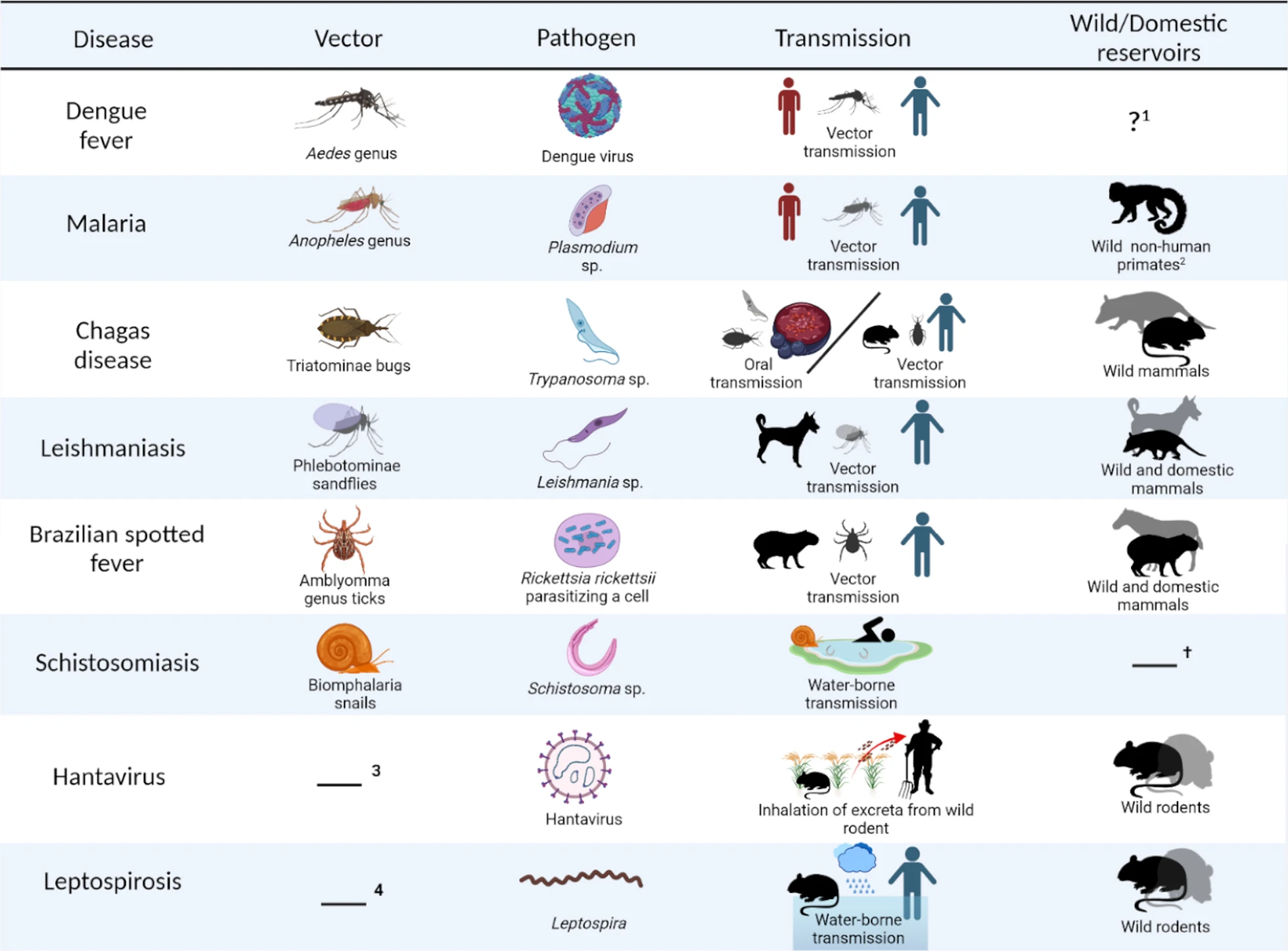 neglected tropical diseases