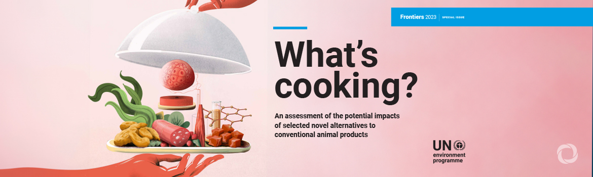 Novel meat and dairy alternatives could help curb climate-harming emissions - UN