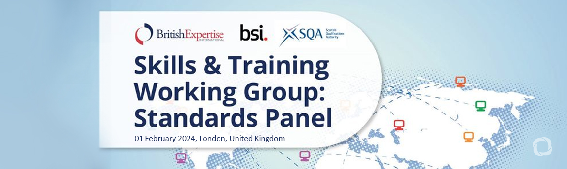 Skills and Training WG: Standards