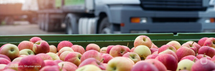 Germany gives EUR 1.95 million to boost safe food trade Germany gives EUR 1.95 million to boost safe food trade