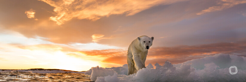 2023 was the hottest year on record, Copernicus data show 2023 was the hottest year on record, Copernicus data show