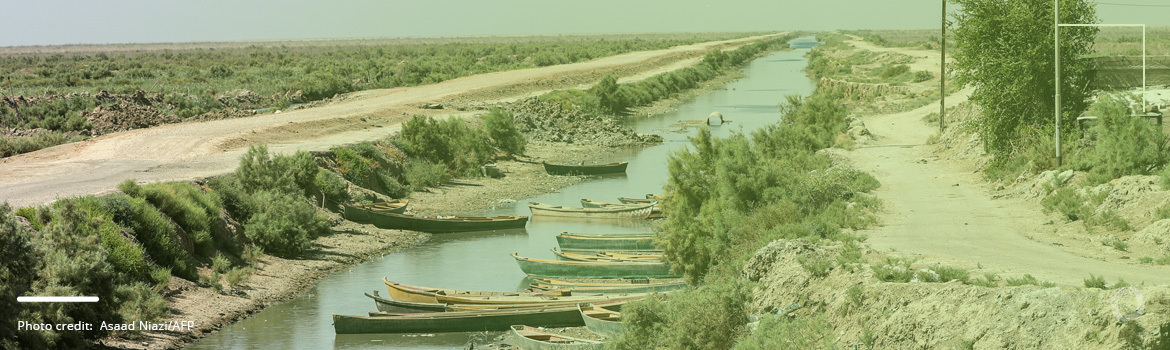 From Tigris to Tragedy: navigating Iraq's vanishing rivers