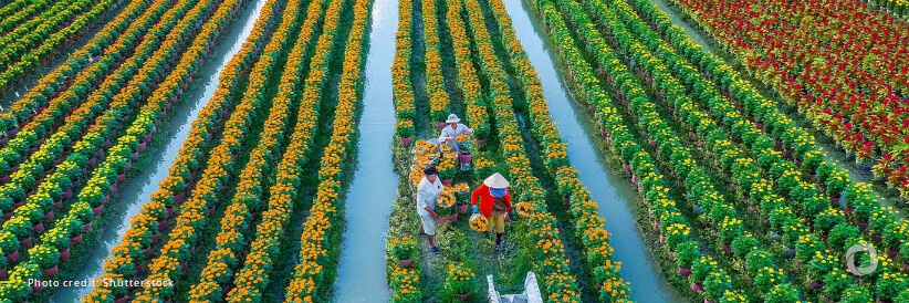 Ahead of Davos, IFAD acts to increase concessional blended financing to encourage vital private sector investments in rural economies
