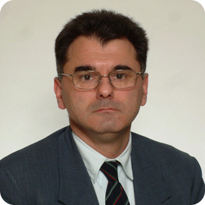 Milan Vemić, SME Expert