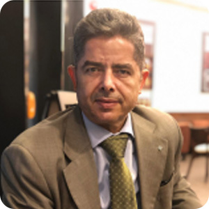 Hassan El-Meligy, former EBRD consultant