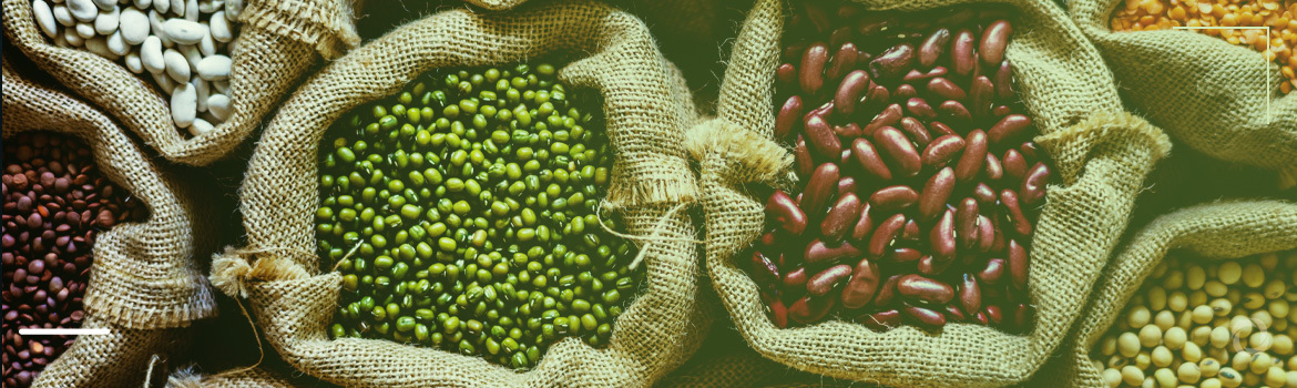 Making the case for biofortification to fight malnutrition in Sub-Saharan Africa