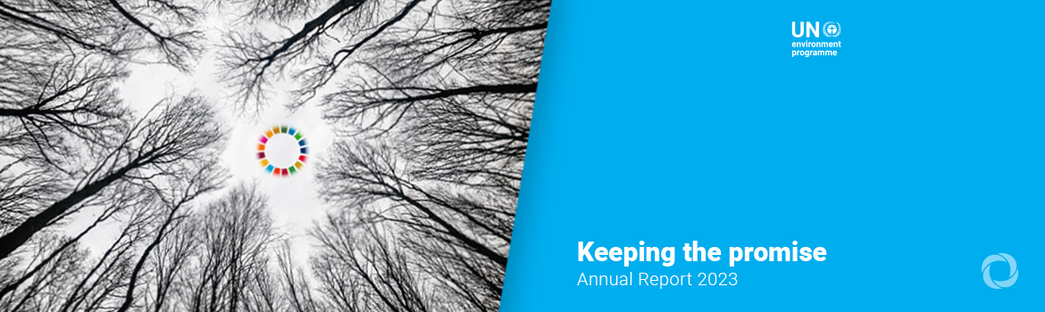 UNEP’s Annual Report shows progress, but need for acceleration to address the triple planetary crisis