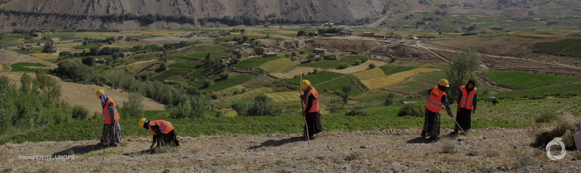 New funding pledged for jobs and livelihoods in Afghanistan New funding pledged for jobs and livelihoods in Afghanistan