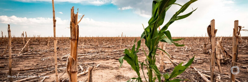 GEF deploys additional high-impact climate adaptation funding