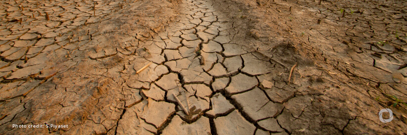 Innovative partnership between IFRC and The Nature Conservancy equips Caribbean communities to combat climate crisis