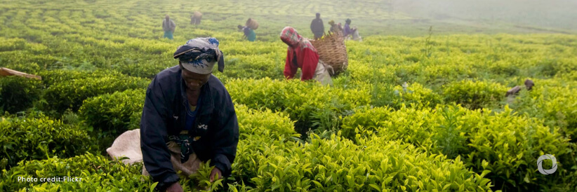 Italy helps WFP boost farmers resilience in Mozambique