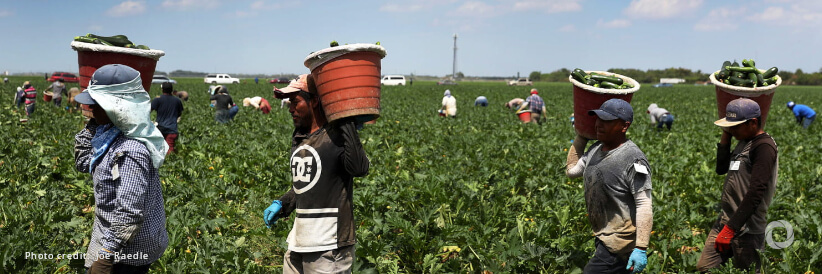 IOM, Panasonic forge strategic partnership to advance rights of migrant workers in supply chains IOM, Panasonic forge strategic partnership to advance rights of migrant workers in supply chains