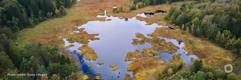 Nature is staging a comeback: UN recognizes seven World Restoration Flagships