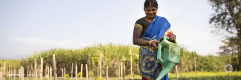 IFC’s $56-million investment in Global IME Bank to bolster gender and climate financing in Nepal