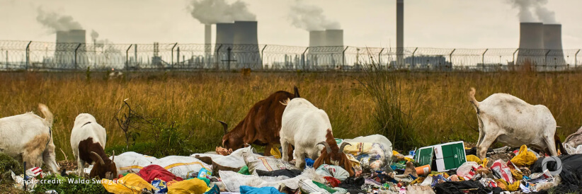 New GEF funds scales up ambition to get ahead of the triple planetary crisis