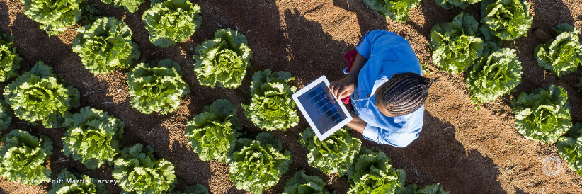 Impact of digitalization on work in developing economies revealed by new ILO research Impact of digitalization on work in developing economies revealed by new ILO research