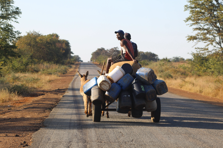 Tapping into the ecological impact of climate change in Zimbabwe
