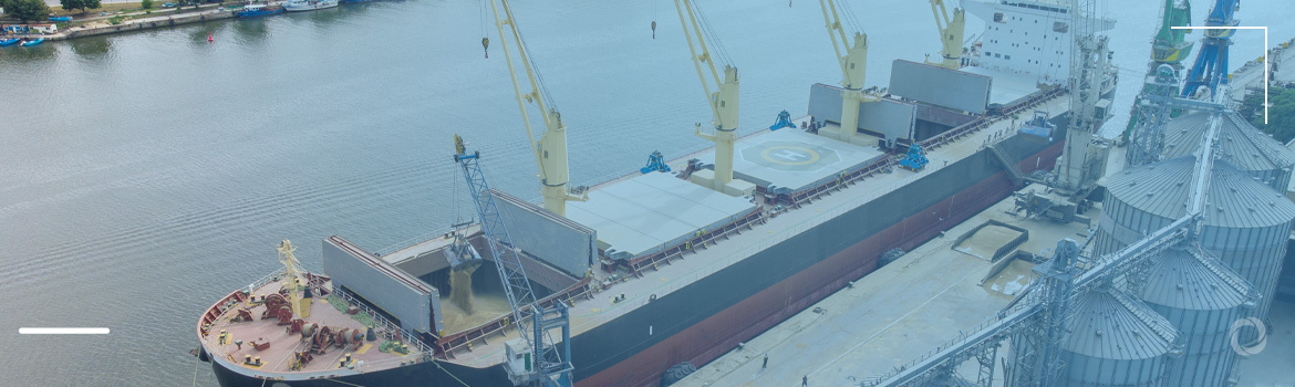 Global wheat shipments remain unaffected despite war in Ukraine