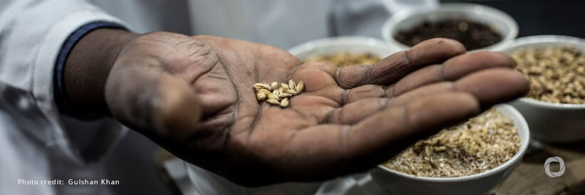 Japan provides US$34 million for WFP’s emergency support to 15 countries in Sub-Saharan Africa Japan provides US$34 million for WFP’s emergency support to 15 countries in Sub-Saharan Africa