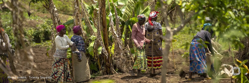 Democratic Republic of Congo: African Development Bank to lend $117 million to support agricultural transformation Democratic Republic of Congo: African Development Bank to lend $117 million to support agricultural transformation