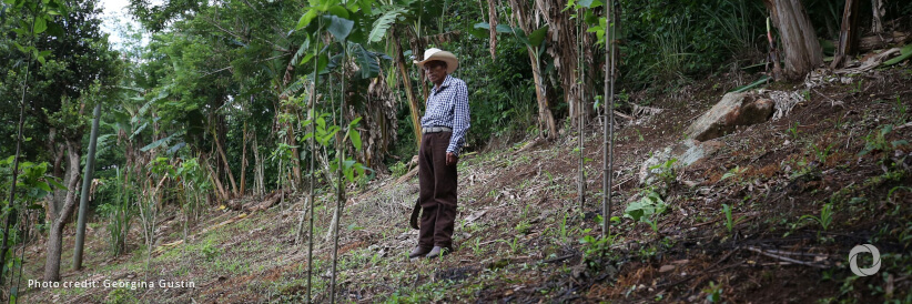 Restoring vital ecosystems and water sources in the Dry Corridor Forest, El Salvador Restoring vital ecosystems and water sources in the Dry Corridor Forest, El Salvador