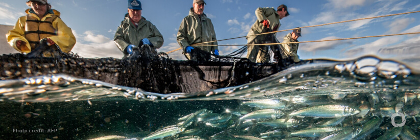 Failure to reach agreement on fisheries subsidies at WTO “a huge missed opportunity” — WWF Failure to reach agreement on fisheries subsidies at WTO “a huge missed opportunity” — WWF