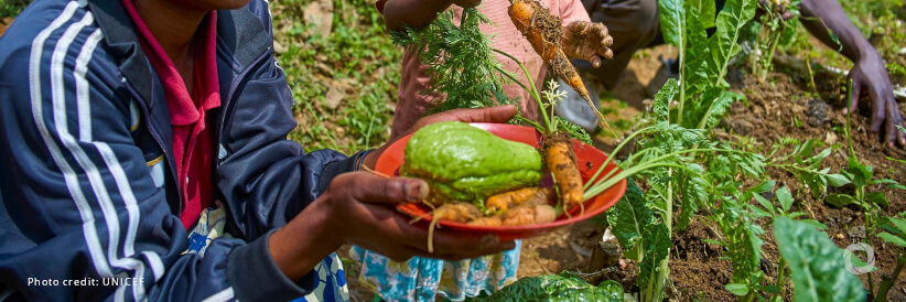 IFAD and JICA renew their Memorandum of Cooperation for rural development, food and nutrition security IFAD and JICA renew their Memorandum of Cooperation for rural development, food and nutrition security