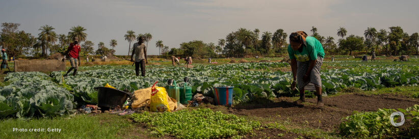 The Gambia: African Development Bank approves supplemental $16 million to boost agriculture and food security The Gambia: African Development Bank approves supplemental $16 million to boost agriculture and food security