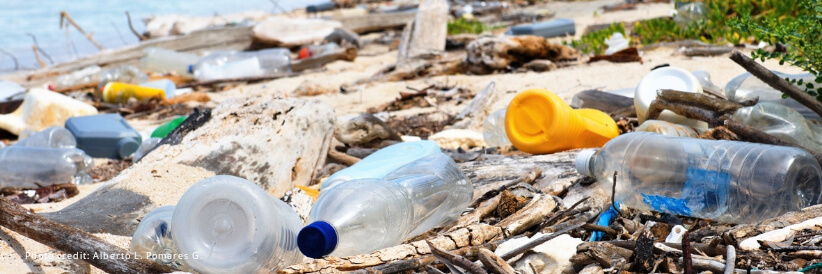 A new plastics economy is needed to protect the climate A new plastics economy is needed to protect the climate