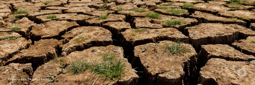 Global water shortages are looming. Here is what can be done about them