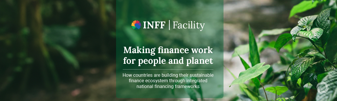 New report reveals how country-led financing strategies are making finance work for people and planet