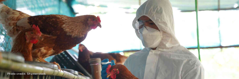 Pandemic experts express concern over avian influenza spread to humans