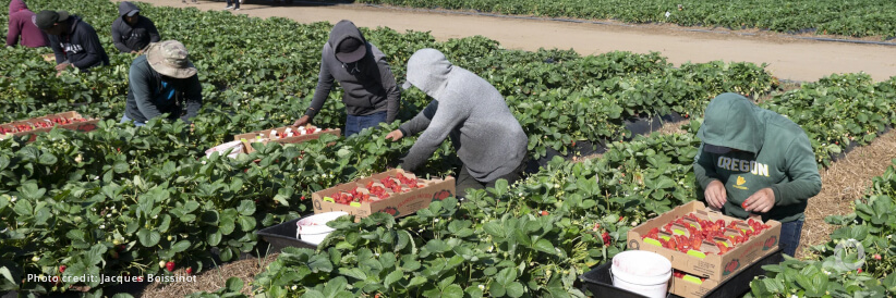 Partnership with IKEA supply AG to promote protection of migrant workers Partnership with IKEA supply AG to promote protection of migrant workers