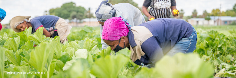 WFP supports Namibia's effort to ramp-up domestic food production to ensure food self sufficiency WFP supports Namibia's effort to ramp-up domestic food production to ensure food self sufficiency
