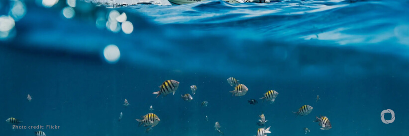 EU announces €3.5 billion worth of commitments to protect the ocean and promote sustainability at Our Ocean Conference in Greece EU announces €3.5 billion worth of commitments to protect the ocean and promote sustainability at Our Ocean Conference in Greece