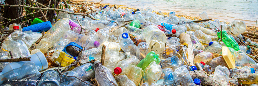 Penultimate UN talks on global plastic pollution treaty will make or break the treaty: WWF