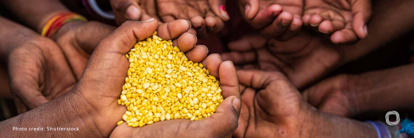 Timor-Leste facing high food insecurity, latest report warns