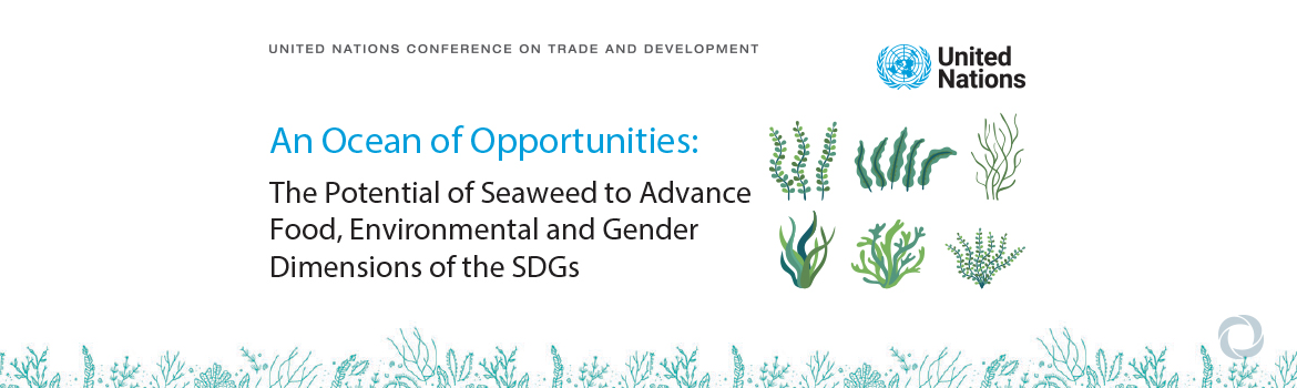 Seaweed holds huge potential to bring economic, climate and gender benefits Seaweed holds huge potential to bring economic, climate and gender benefits
