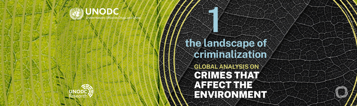 Crimes against nature: UN agency puts environmental legislation under scrutiny Crimes against nature: UN agency puts environmental legislation under scrutiny